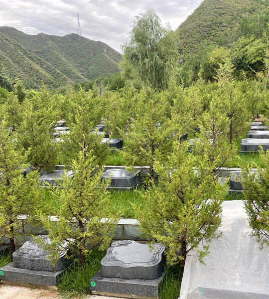 北京树葬公墓有哪些?2022年北京树葬大概花多少钱