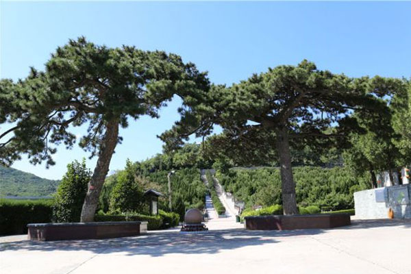北京市海淀温泉陵园有树葬吗?生态葬价格多少钱